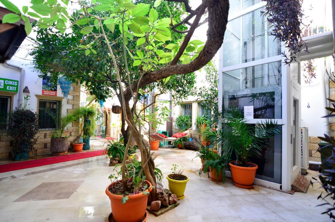 Sevin Hotel Pension Bodrum Exteriör bild